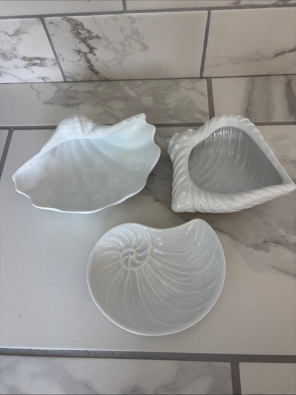 Pottery Barn Under the Sea Collection - Clamshell, Nautilus, Murex Conch